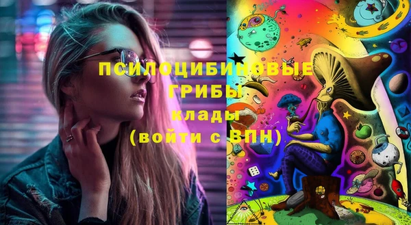 эйфоретик Баксан