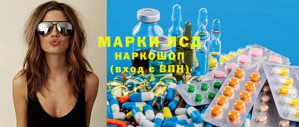 эйфоретик Баксан
