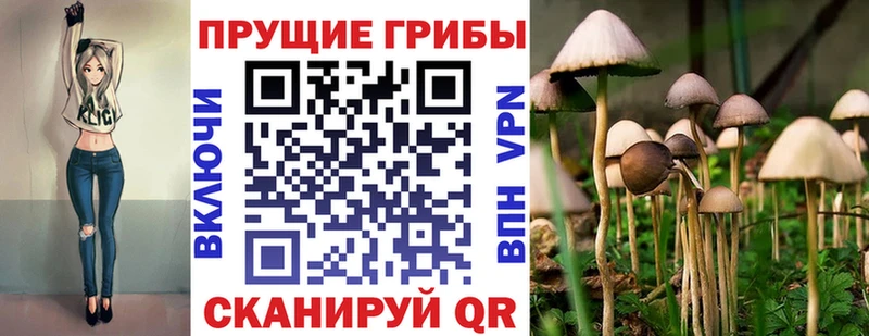 как найти Малоархангельск Галлюциногенные грибы GOLDEN TEACHER